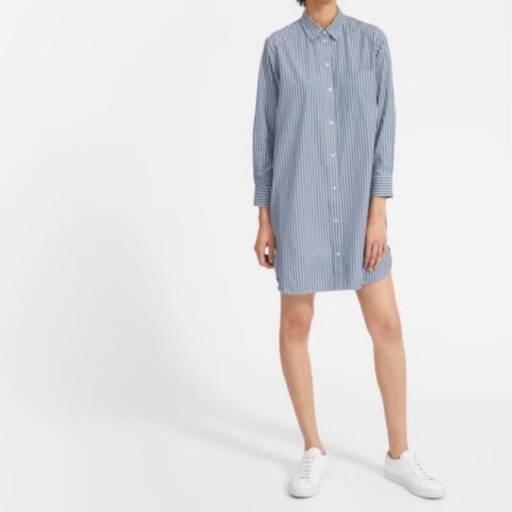 Everlane Blue and White Long Sleeve Shirt Dress
